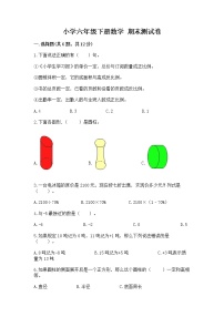 小学六年级下册数学 期末测试卷带答案（预热题）