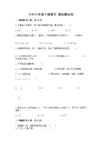 小学六年级下册数学 期末测试卷附参考答案（综合卷）