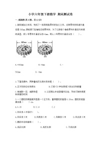 小学六年级下册数学 期末测试卷附参考答案【黄金题型】