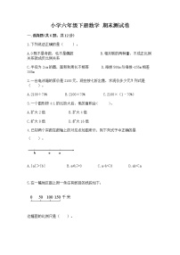 小学六年级下册数学 期末测试卷含完整答案【全优】