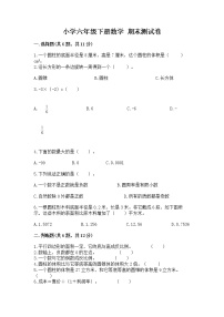 小学六年级下册数学 期末测试卷含答案【突破训练】