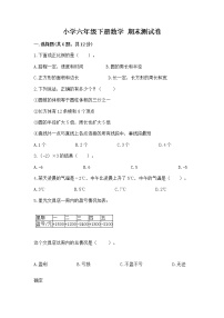 小学六年级下册数学 期末测试卷及参考答案【考试直接用】