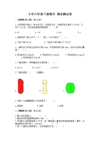 小学六年级下册数学 期末测试卷精品（模拟题）