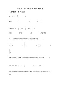 小学六年级下册数学 期末测试卷精品（全优）