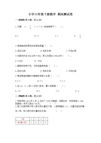 小学六年级下册数学 期末测试卷及完整答案（夺冠系列）