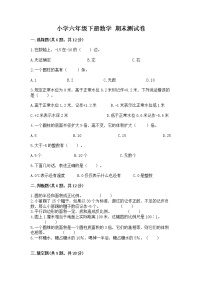 小学六年级下册数学 期末测试卷精编答案