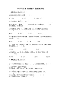 小学六年级下册数学 期末测试卷及完整答案（历年真题）