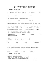 小学六年级下册数学 期末测试卷精品（完整版）