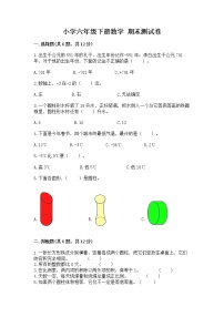 小学六年级下册数学 期末测试卷及完整答案【精品】