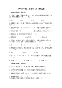 小学六年级下册数学 期末测试卷精品（考点梳理）