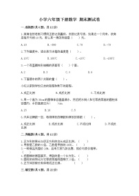 小学六年级下册数学 期末测试卷精选答案