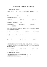 小学六年级下册数学 期末测试卷精选