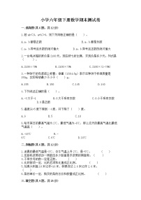 小学六年级下册数学期末测试卷（典型题）word版