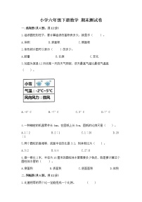 小学六年级下册数学 期末测试卷附完整答案【网校专用】