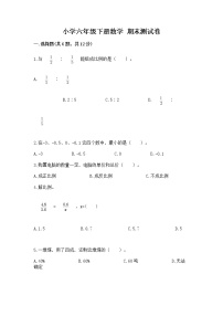 小学六年级下册数学 期末测试卷附完整答案【有一套】