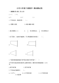 小学六年级下册数学 期末测试卷含完整答案（典优）