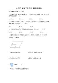 小学六年级下册数学 期末测试卷含完整答案【网校专用】