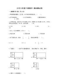 小学六年级下册数学 期末测试卷及参考答案（巩固）