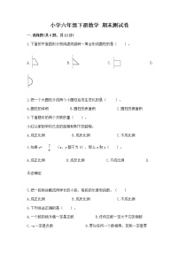 小学六年级下册数学 期末测试卷含完整答案（网校专用）