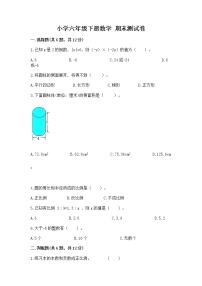 小学六年级下册数学 期末测试卷含答案（轻巧夺冠）