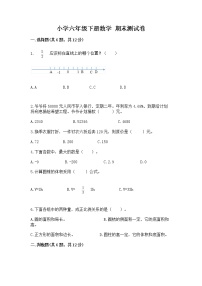 小学六年级下册数学 期末测试卷含完整答案【典优】