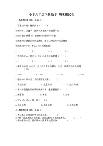小学六年级下册数学 期末测试卷审定版