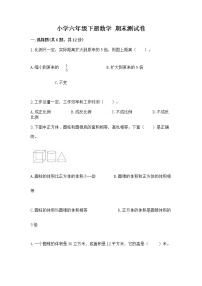 小学六年级下册数学 期末测试卷精品有答案