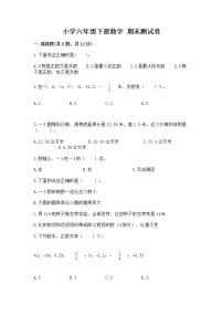 小学六年级下册数学 期末测试卷及答案【夺冠系列】