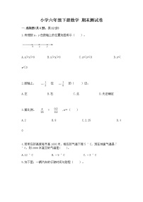 小学六年级下册数学 期末测试卷及参考答案（精练）