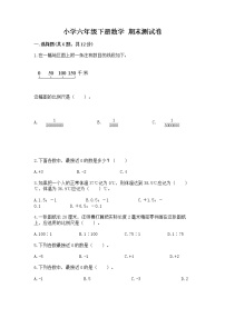 小学六年级下册数学 期末测试卷及参考答案【典型题】