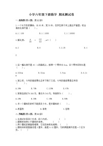 小学六年级下册数学 期末测试卷精品【b卷】