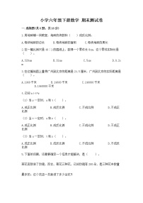 小学六年级下册数学 期末测试卷及完整答案（典优）