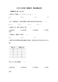 小学六年级下册数学 期末测试卷精品（名师系列）