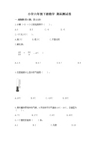 小学六年级下册数学 期末测试卷及完整答案【有一套】