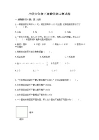 小学六年级下册数学期末测试卷带答案（能力提升）