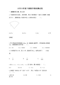 小学六年级下册数学期末测试卷（网校专用）word版