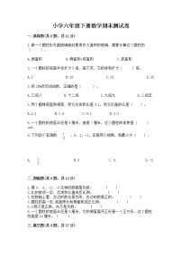 小学六年级下册数学期末测试卷带答案（精练）