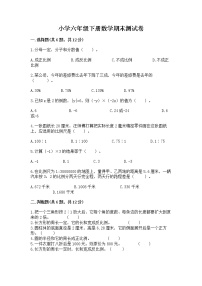 小学六年级下册数学期末测试卷带答案（达标题）