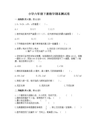 小学六年级下册数学期末测试卷带答案ab卷