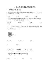 小学六年级下册数学期末测试卷附参考答案【综合题】