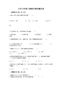 小学六年级下册数学期末测试卷含答案（模拟题）