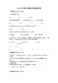 小学六年级下册数学期末测试卷含完整答案（名校卷）