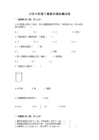 小学六年级下册数学期末测试卷含答案【达标题】