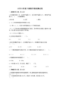 小学六年级下册数学期末测试卷含答案【精练】