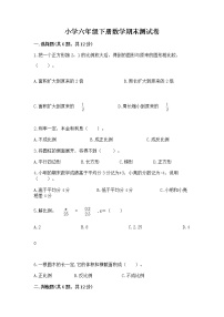 小学六年级下册数学期末测试卷附答案（夺分金卷）