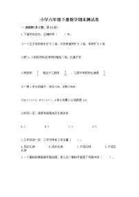 小学六年级下册数学期末测试卷附完整答案（名师系列）