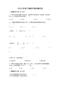 小学六年级下册数学期末测试卷附完整答案（易错题）