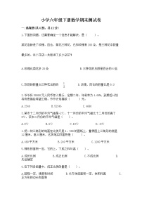 小学六年级下册数学期末测试卷附答案【预热题】