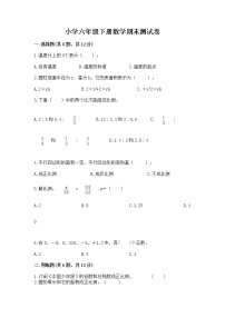 小学六年级下册数学期末测试卷附答案【夺分金卷】