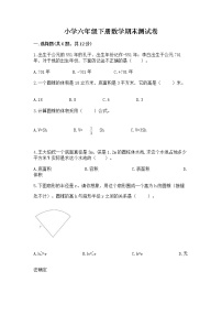 小学六年级下册数学期末测试卷含精品答案